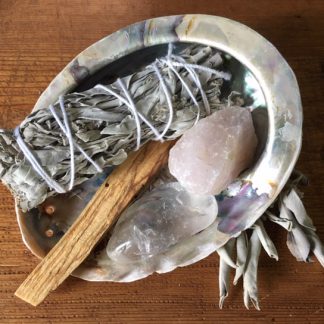 Abalone schelp met witte salie